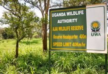 Arua Uncovered: Top Attractions and Cultural Delights with a Stay at Beri Cottages