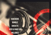 Bebe Cool Drops “No Risk EP” with 7 Tracks of Wisdom, Love & Bounce